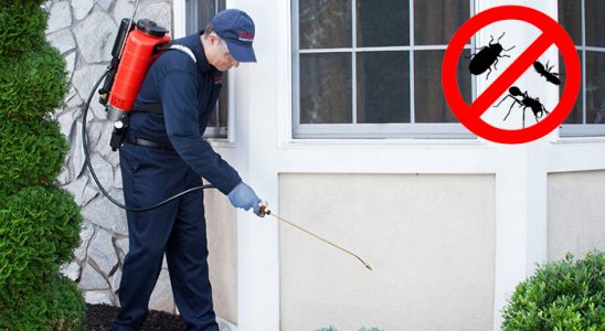 Küçükçekmece Pire İlaçlama böcek ilaçlama ve haşere kontrolü — ilaclama-tr.com